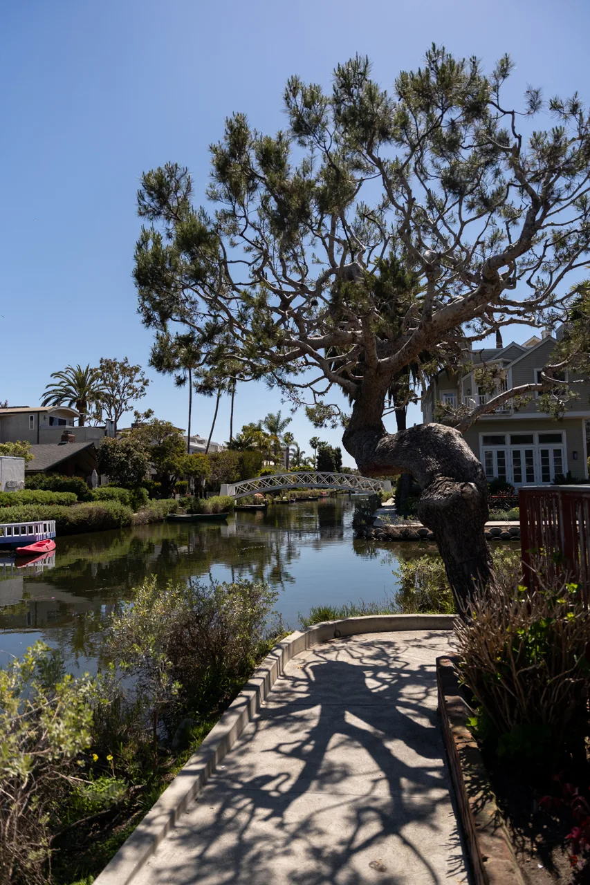 Venice Canal w Los Angeles