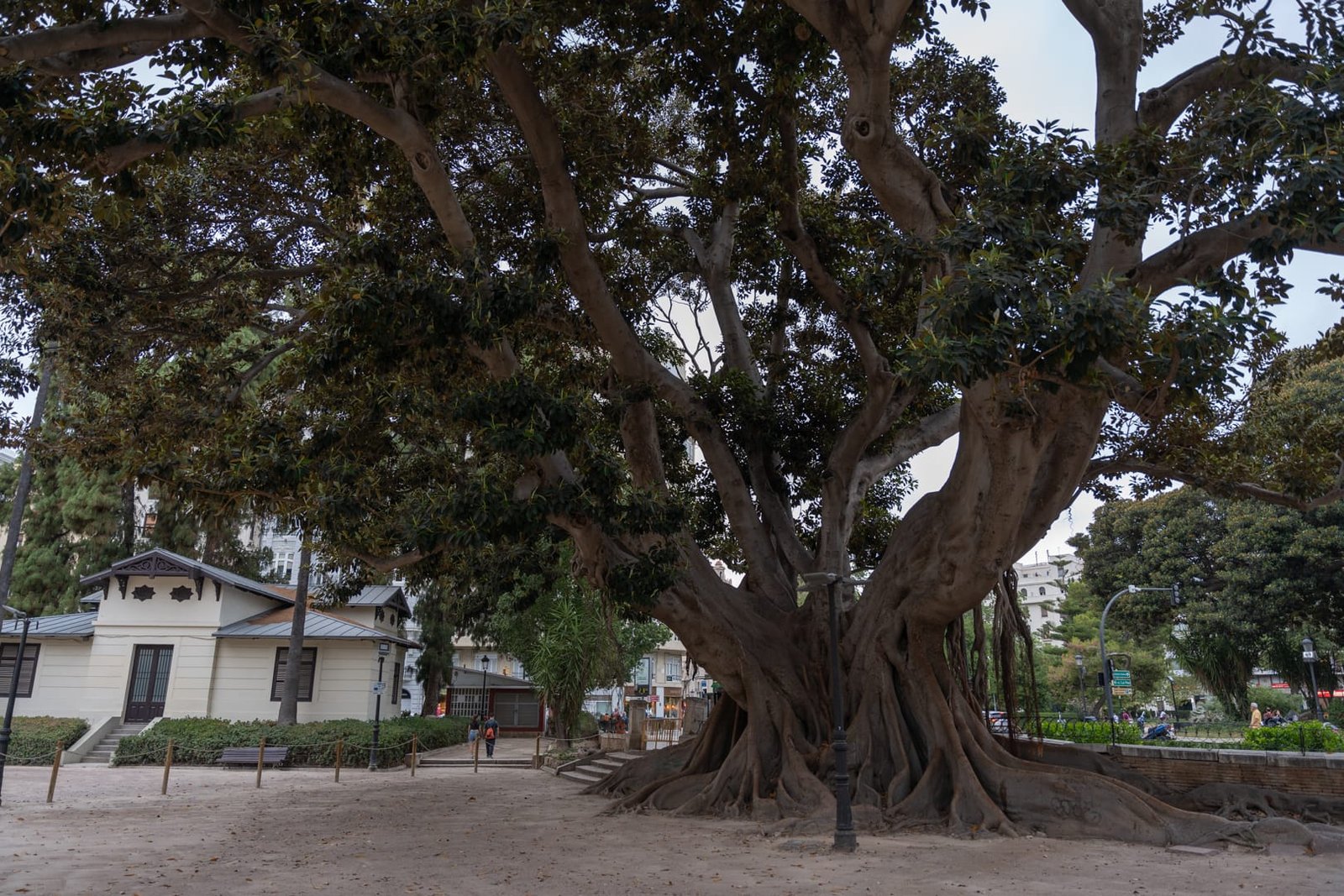 Park Glorieta w Walencji
