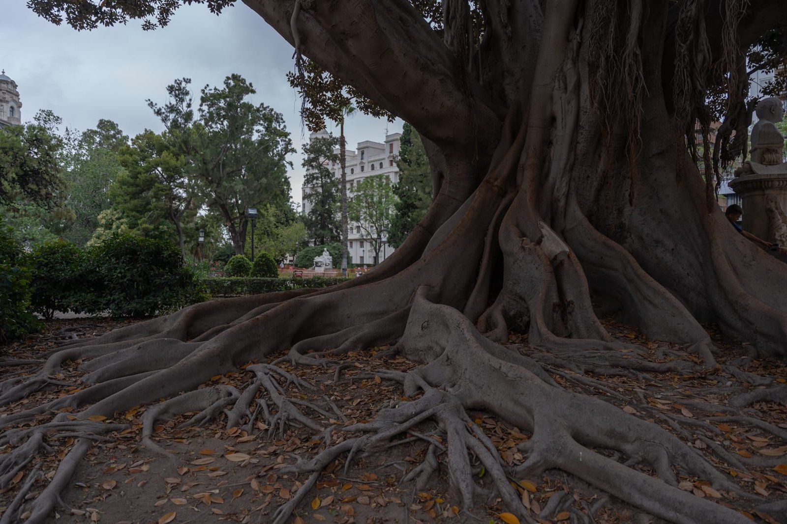 Park Glorieta w Walencji