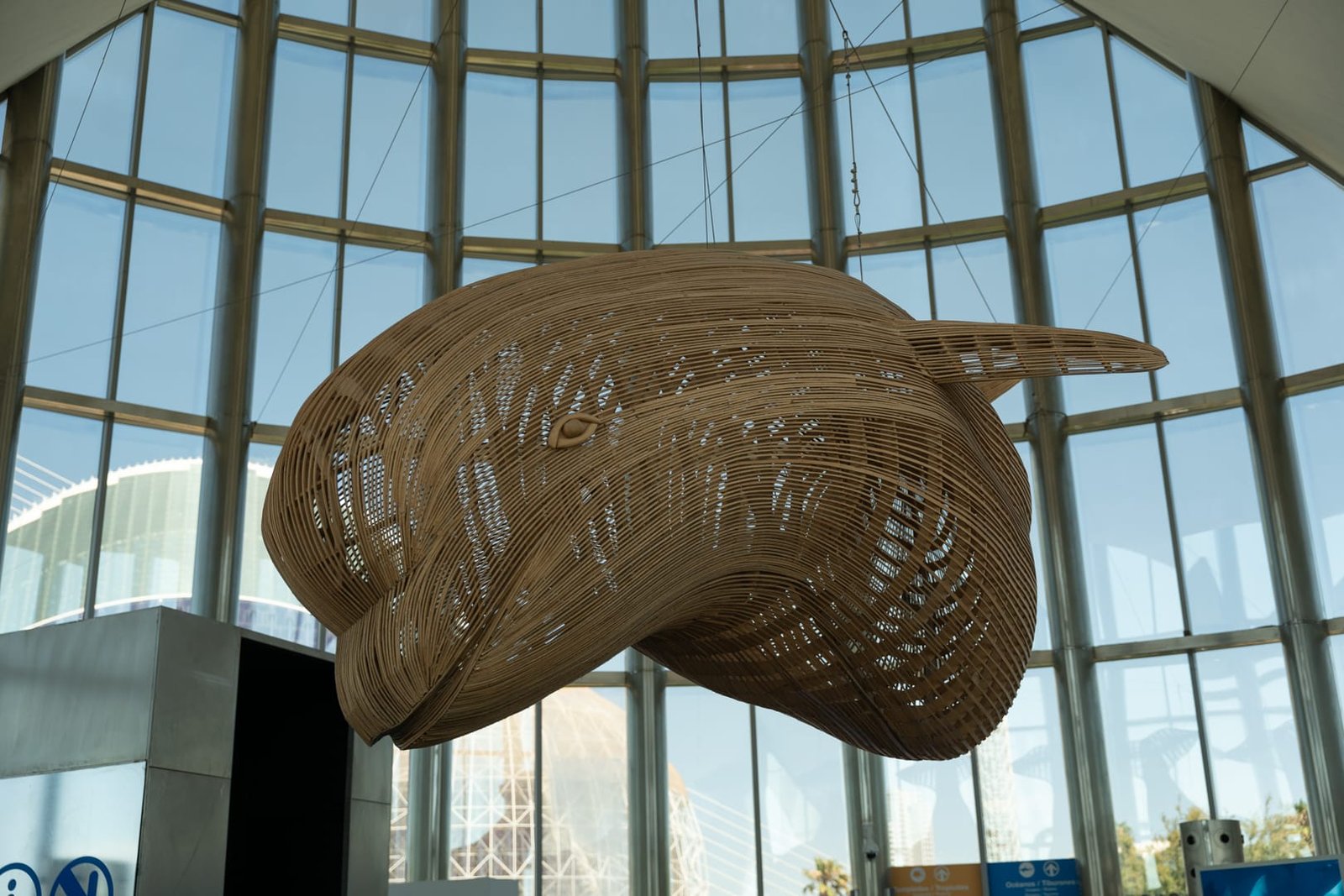 L'Oceanogràfic w Walencji