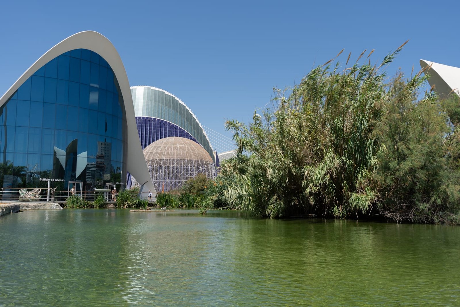 L'Oceanogràfic w Walencji