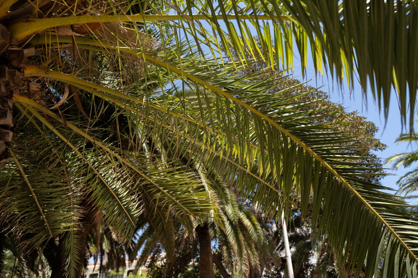 Plaża Playa del Cabañal w Walencji